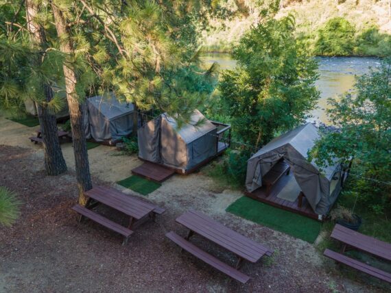 Canvas cabin tents lined up along the river amongst green trees.