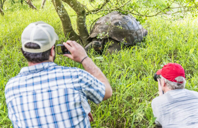 Two men take photos of Galapagos tortoise in the grass