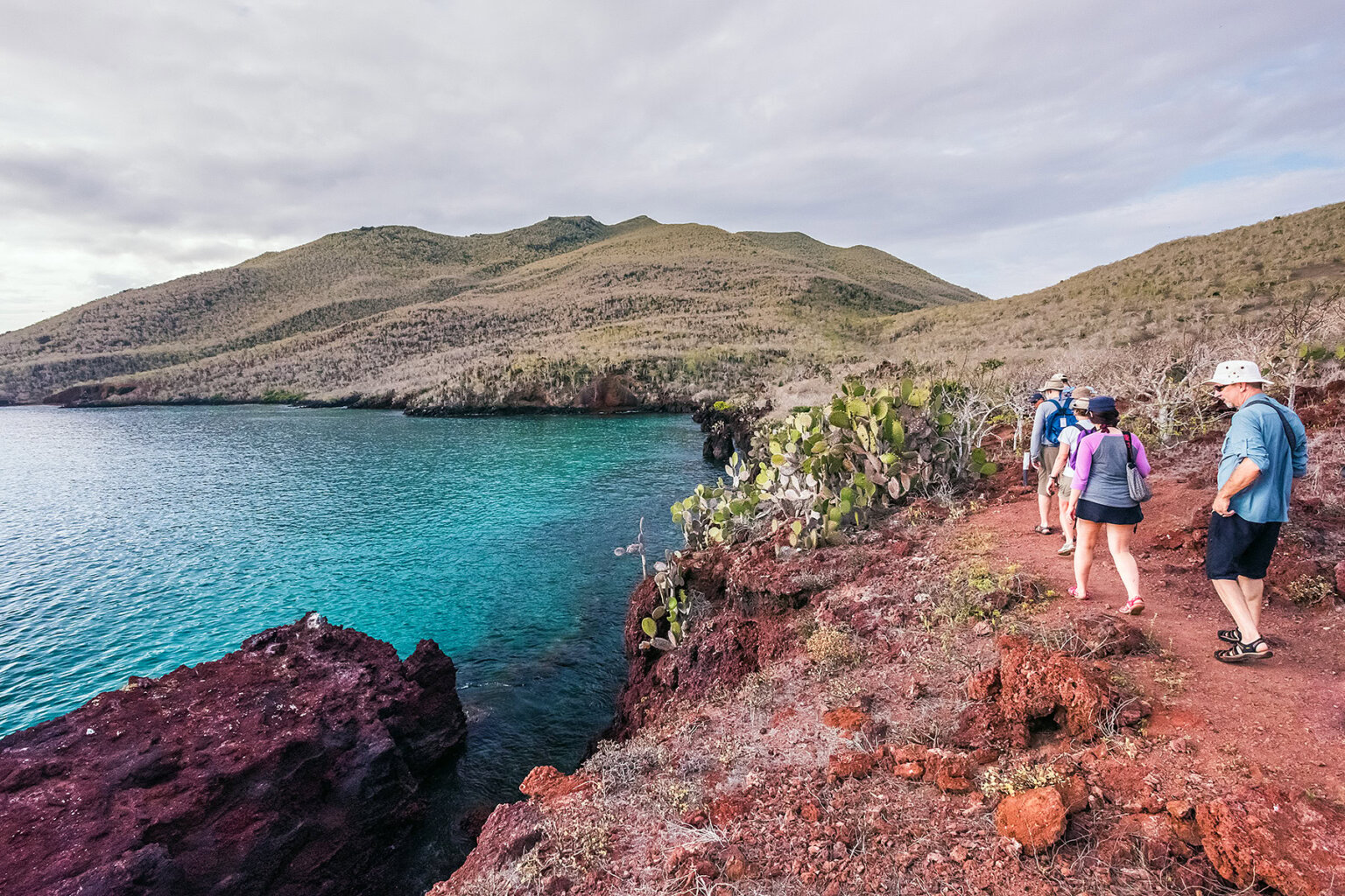 Guests walk along coastal trail with large cactus, red soil and deep turquoise water in Galapagos