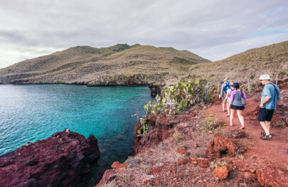 Guests walk along coastal trail with large cactus, red soil and deep turquoise water in Galapagos