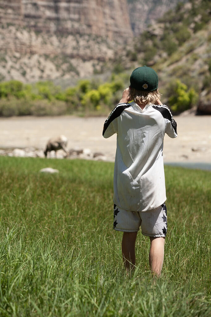 A boy watches wildlife through binoculars