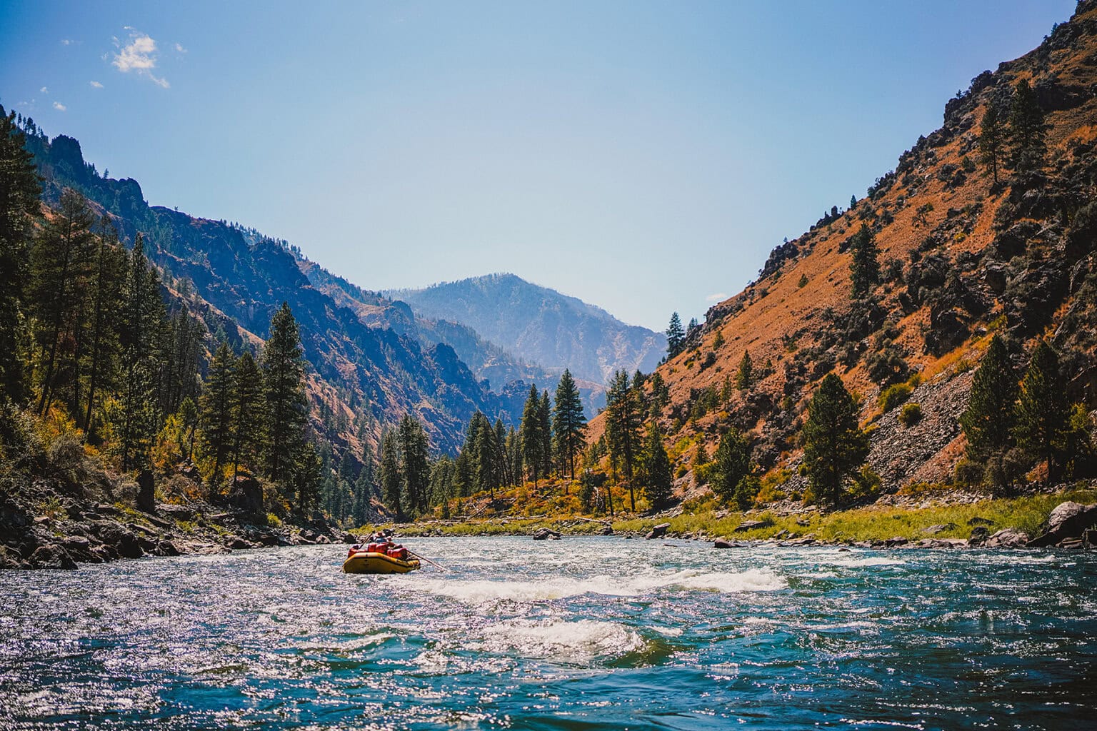 A lone yellow raft floats down the Main Salmon River, surrounded by lush green trees and mountainous terrain
