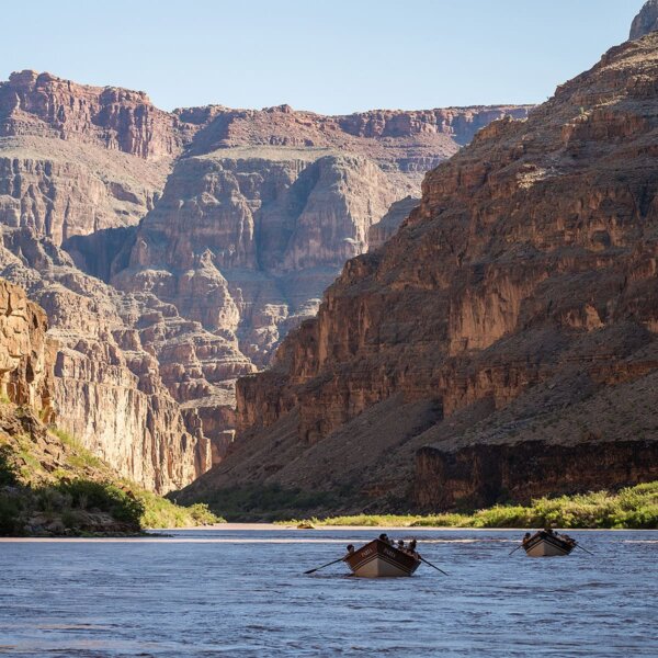 Dories row down the Colorado River in Grand Canyon