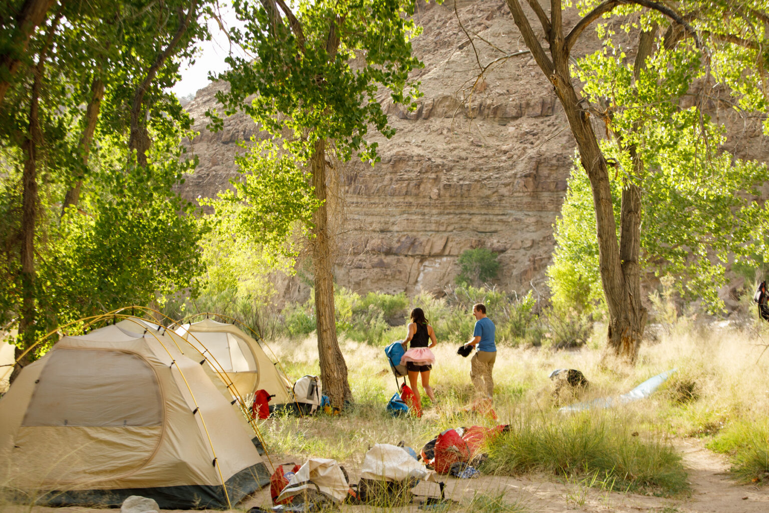 A camp nestled among a grove of trees along the Green River in Desolation Canyon. 