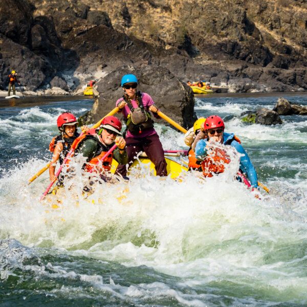 A river guides leads a paddle raft through a splashy rapid on the Lower Salmon.