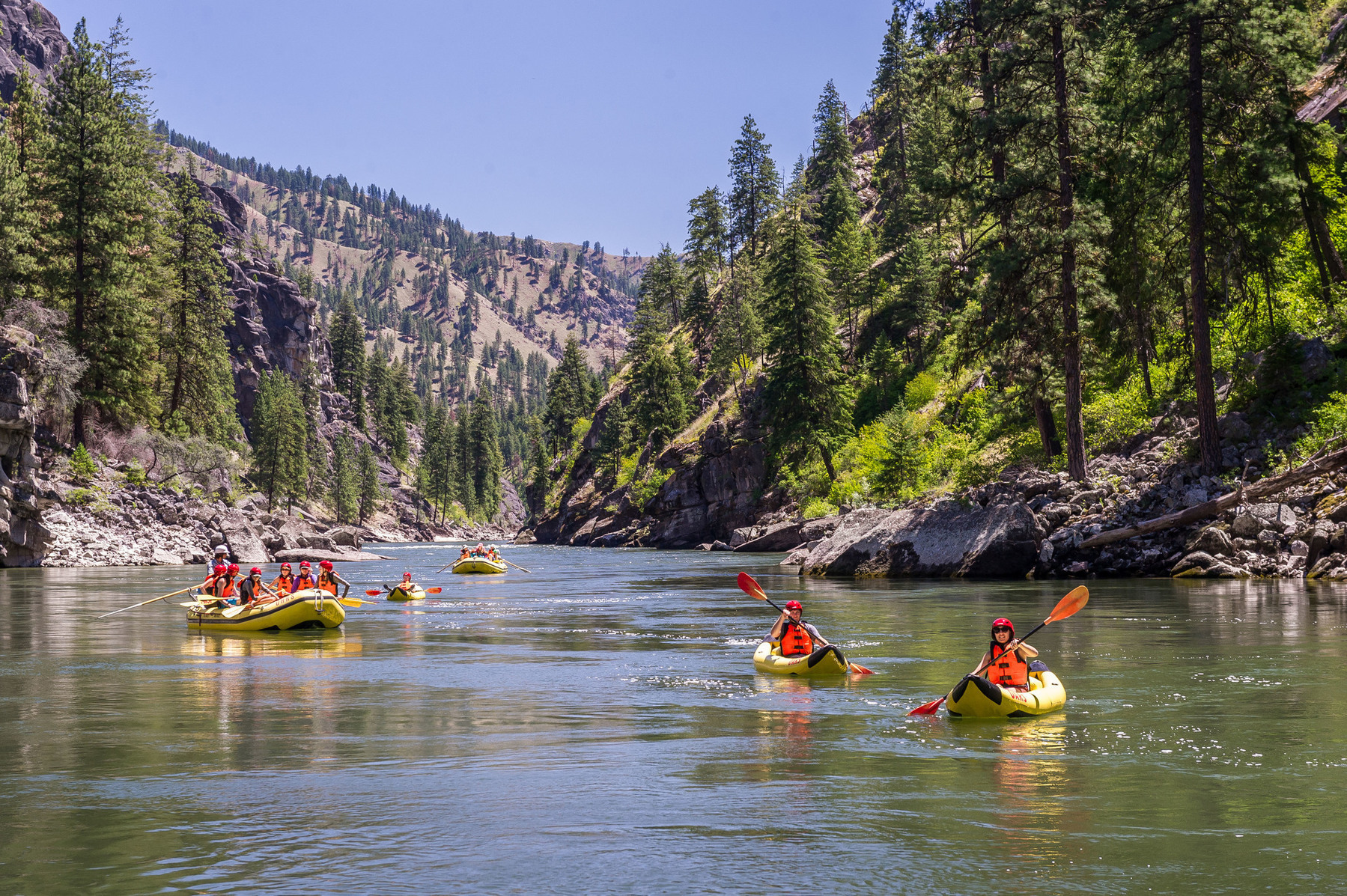 A group of yellow rafts and inflatable kayaks floating down Idaho's scenic Main Salmon River